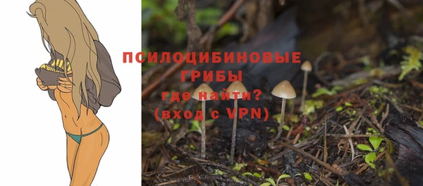 СК Бугульма
