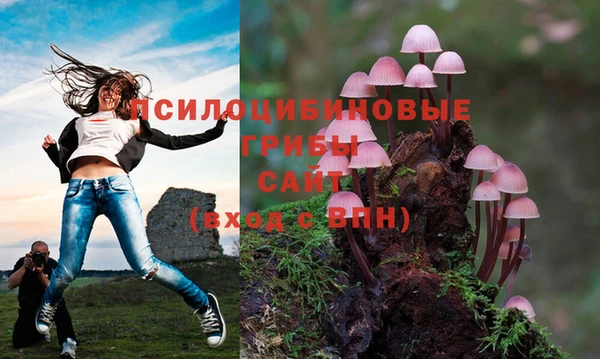 СК Бугульма