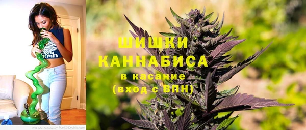 кокс Бородино