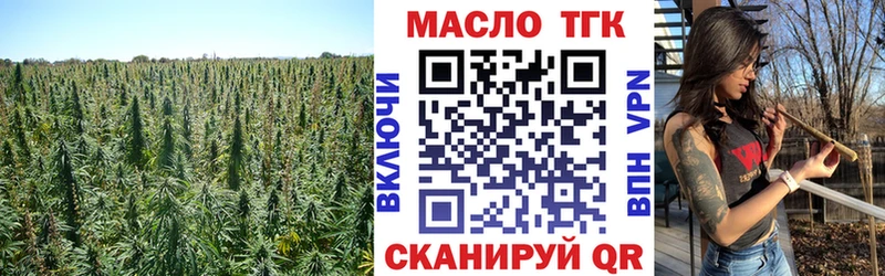 Купить закладки  Крымск  ТГК концентрат 